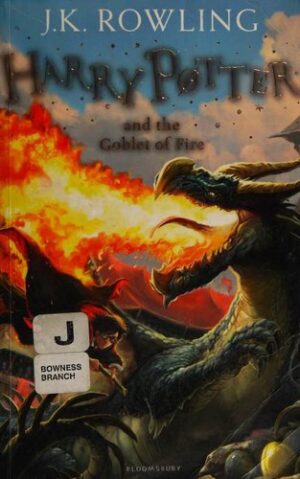 Harry Potter and the Goblet of Fire (Miękka oprawa)