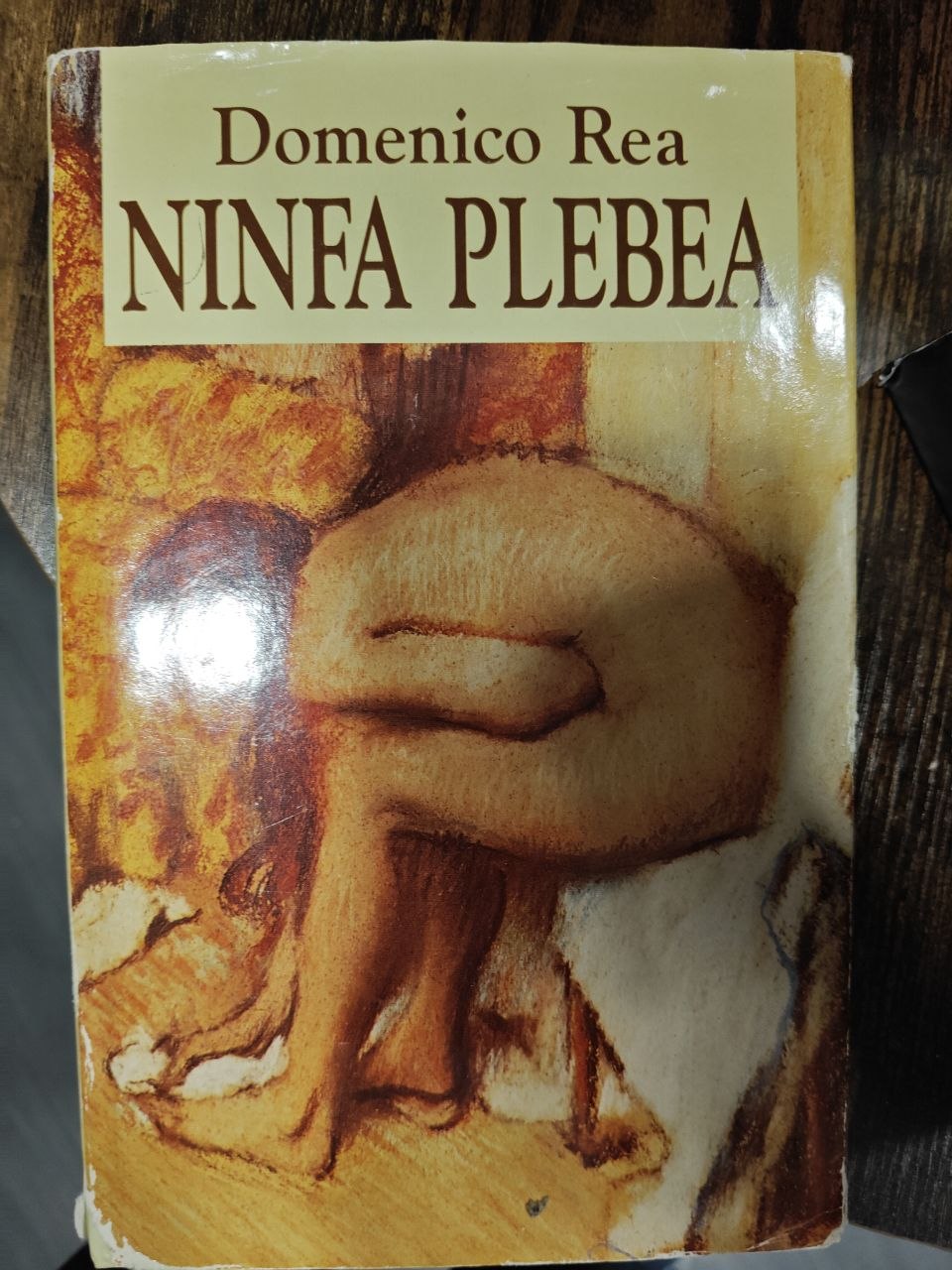 photo_5301068234566082730_y Ninfa plebea — Domenico Rea - obrazek 1